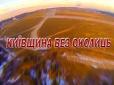 На Київщині можна добре розважитися та відпочити на травневі свята: що і почім