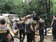 Організували 
