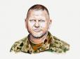 Якщо ви живете у дорослому світі, то не варто переживати через статтю Залужного, - Сергій Фурса